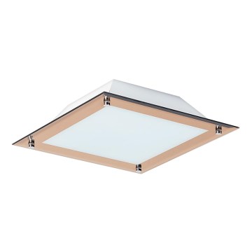 Rabalux 3045 - LED Plafondverlichting LARS 1xLED/12W/230V