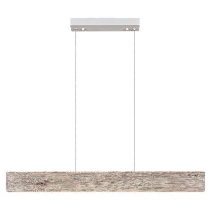 Rabalux  - LED Hanglamp aan een koord LED/34W/230V