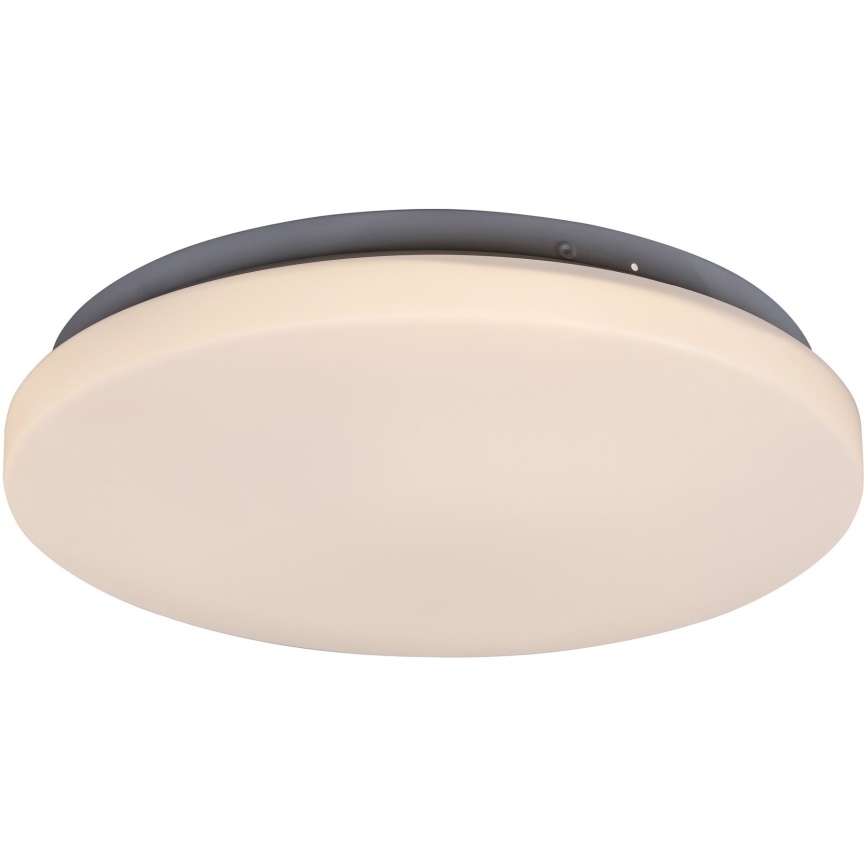 Rabalux - LED plafondlamp 1xLED/20W/230V diameter 29 cm