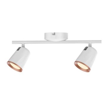 Rabalux 5046 - LED Spot SOLANGE 2xLED/6W/230V