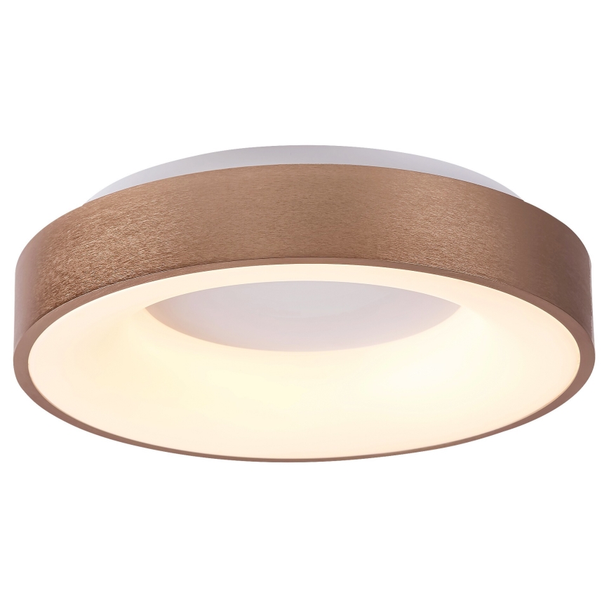 Rabalux - LED plafondlamp CARMELA LED/30W/230V diameter 38 cm