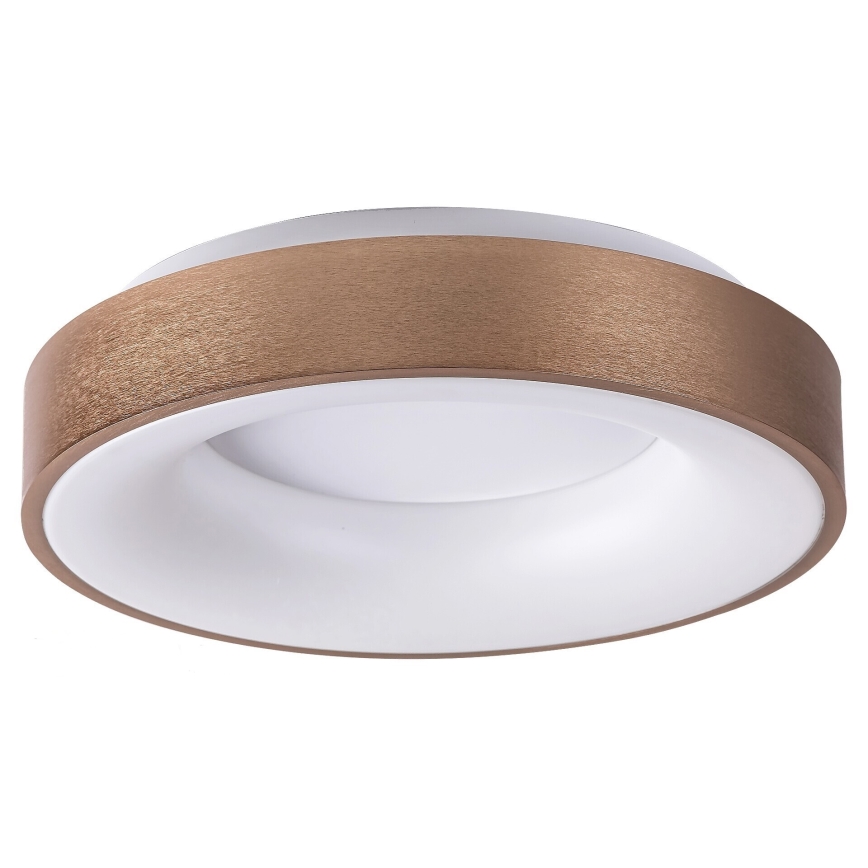 Rabalux - LED plafondlamp CARMELA LED/30W/230V diameter 38 cm