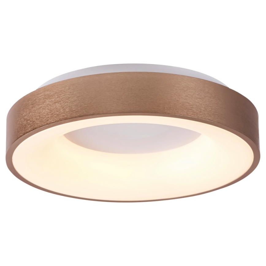 Rabalux - LED plafondlamp CARMELA LED/50W/230V diameter 60 cm