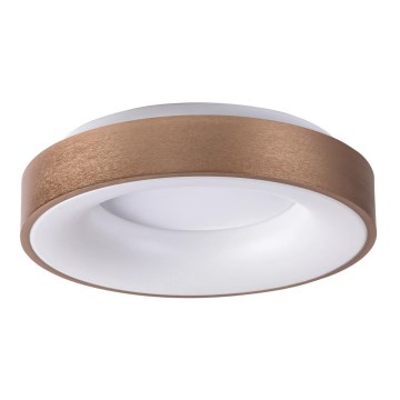 Rabalux 5053 - LED Plafondverlichting CARMELA LED/50W/230V