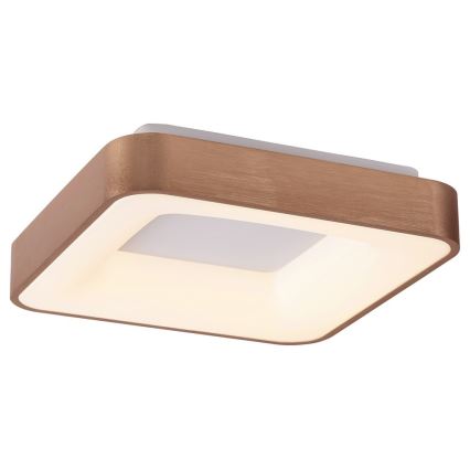 Rabalux - LED plafondlamp CARMELA LED/30W/230V 40x40 cm