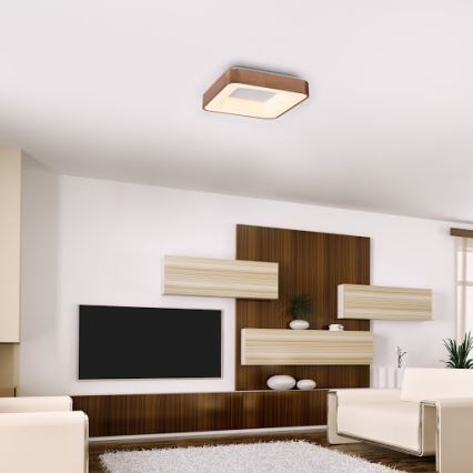 Rabalux - LED plafondlamp CARMELA LED/30W/230V 40x40 cm