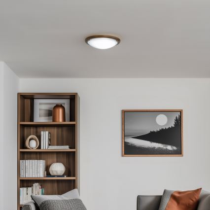 Rabalux - Plafondlamp 1xE27/60W/230V diameter 30 cm