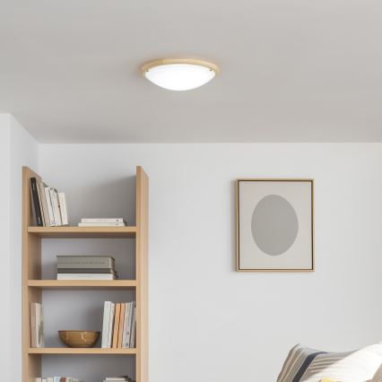 Rabalux - Plafondlamp 2xE27/60W/230V diameter 38 cm
