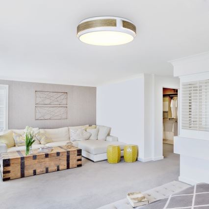 Rabalux - Dimbare LED-plafondlamp LED/24W/230V Ø 42 cm