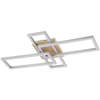 Rabalux - LED plafondlamp LED/24W/230V