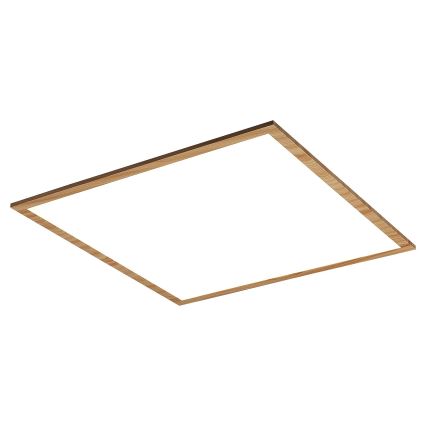 Rabalux - LED Bevestigd Paneel LED/40W/230V 4000K