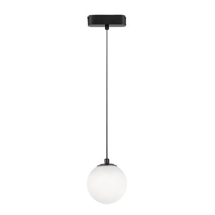 Rabalux - LED Hanglamp aan een koord voor 1-fase railsysteem LED/5W/24V 4000K zwart