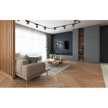 Rabalux - LED Dimbare spot voor 1-fase railsysteem LED/5W/24V 2700-5500K Wi-Fi Tuya zwart