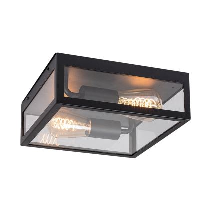 Rabalux - Plafondlamp voor buiten 2xE27/60W/230V IP23