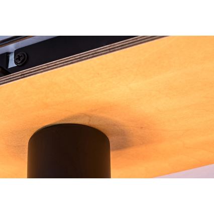 Rabalux - Plafondlamp 3xE27/40W/230V 18x44 cm