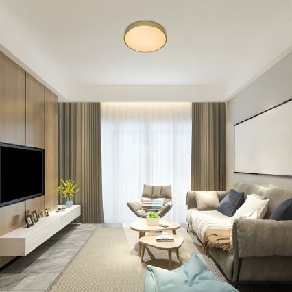 Rabalux - Dimbare LED-plafonnière LED/60W/230V 3000-6000K + afstandsbediening Ø 60 cm