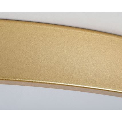 Rabalux - Dimbare LED-plafonnière LED/60W/230V 3000-6000K + afstandsbediening Ø 60 cm