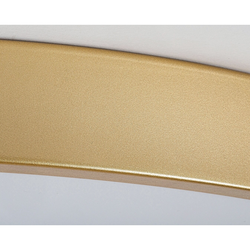 Rabalux - Dimbare LED-plafonnière LED/60W/230V 3000-6000K + afstandsbediening Ø 60 cm