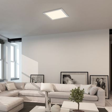 Rabalux - LED Bevestigd lichtpaneel LED/40W/230V 4000K 60x60 cm