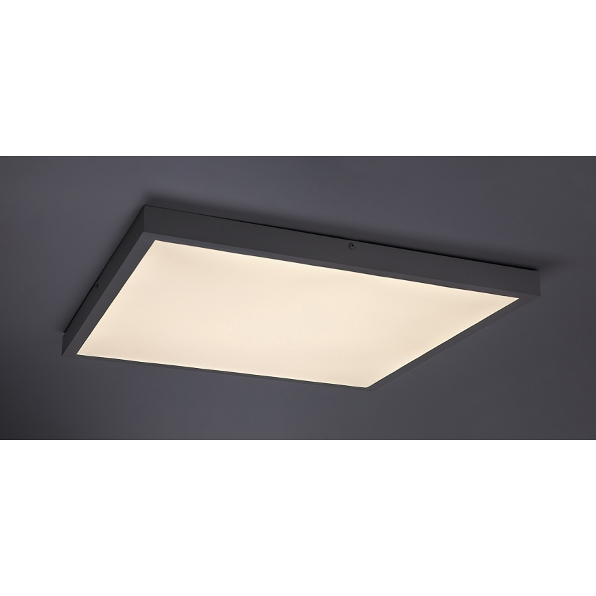 Rabalux - LED Bevestigd lichtpaneel LED/40W/230V 4000K 60x60 cm