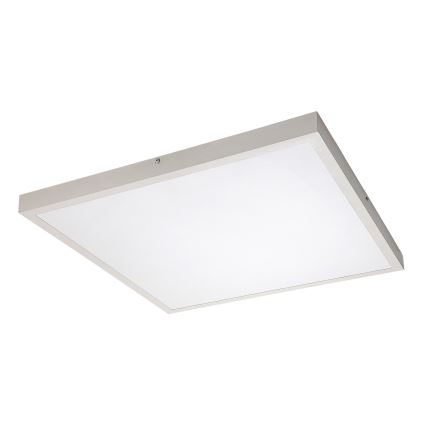 Rabalux - LED Bevestigd lichtpaneel LED/40W/230V 4000K 60x60 cm