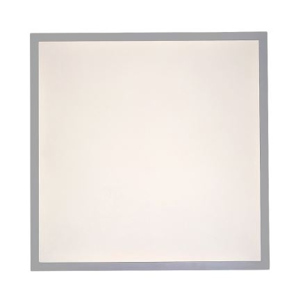 Rabalux - LED Bevestigd lichtpaneel LED/40W/230V 4000K 60x60 cm