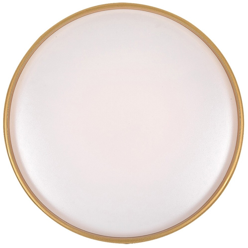 Rabalux - Dimbare LED plafondlamp LED/24W/230V 3000-6500K + afstandsbediening