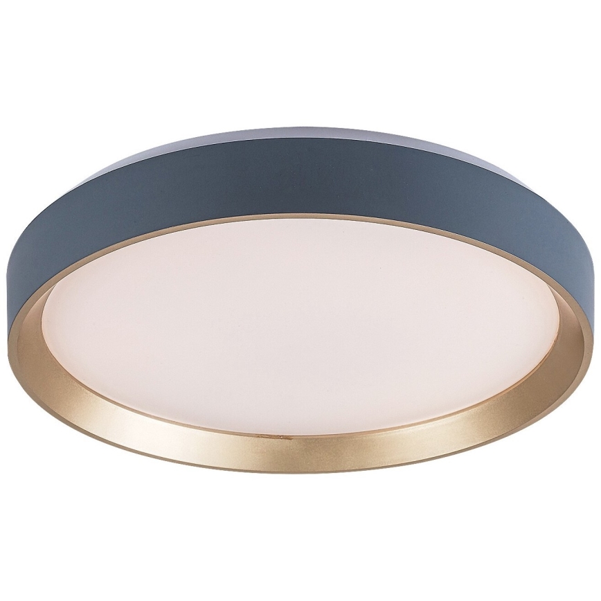 Rabalux - LED Plafondlamp LED/25W/230V 3000K diameter 38 cm