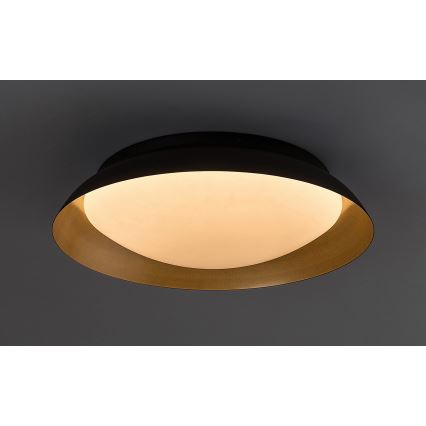 Rabalux - LED Plafondlamp LED/24W/230V 3000K diameter 40 cm