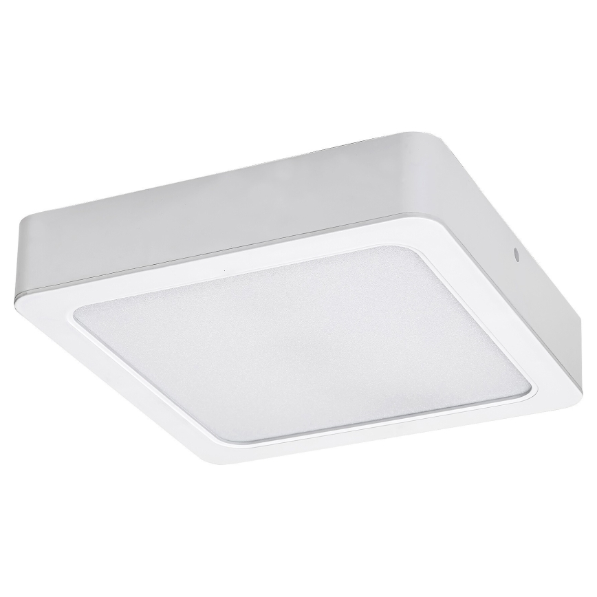 Rabalux - LED Plafondlamp LED/15W/230V 4000K 16x16 cm wit