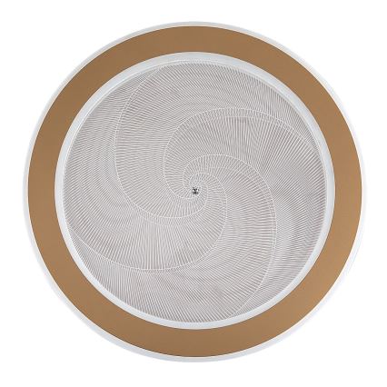 Rabalux - Dimbare LED-plafondlamp LED/24W/230V 3000-6500K Ø 40 cm + afstandsbediening