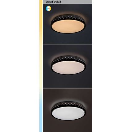 Rabalux - Dimbare LED plafondlamp LED/48W/230V 3000-6500K + afstandsbediening