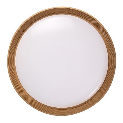Rabalux - Dimbare LED plafondlamp LED/48W/230V 3000-6500K + afstandsbediening