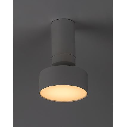 Rabalux - LED Plafondlamp LED/10W/230V 3000K wit
