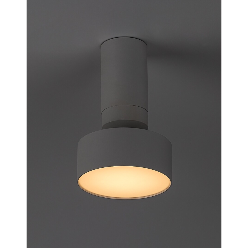 Rabalux - LED Plafondlamp LED/10W/230V 3000K wit