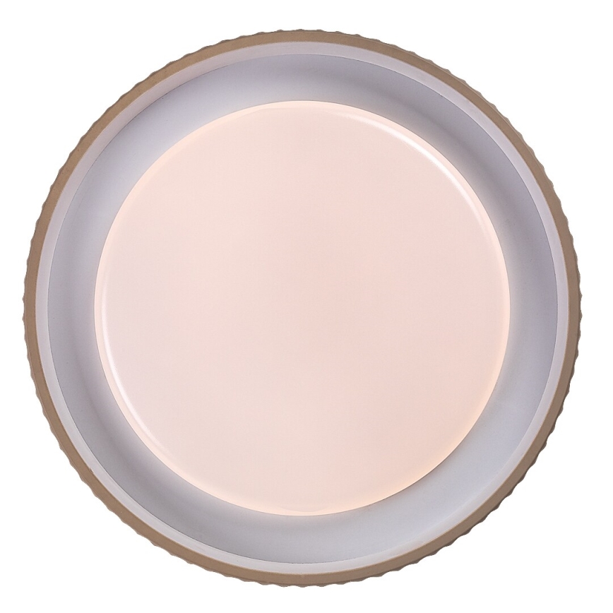 Rabalux - Dimbare LED-plafondlamp LED/48W/230V 3000-6500K Ø 49,5 cm + afstandsbediening