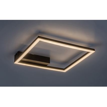 Rabalux - LED Plafondlamp LED/24W/230V 3000K