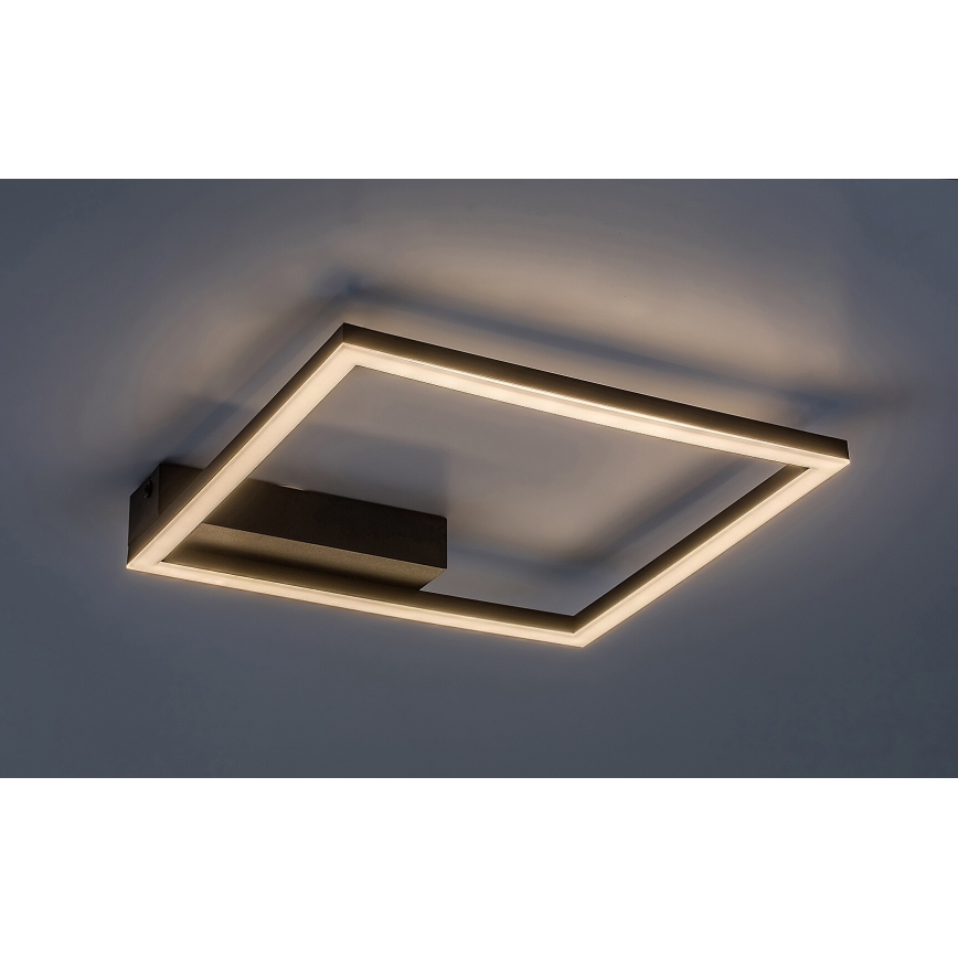 Rabalux - LED Plafondlamp LED/24W/230V 3000K