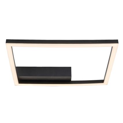 Rabalux - LED Plafondlamp LED/24W/230V 3000K
