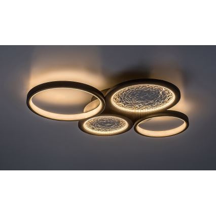 Rabalux - Dimbare LED plafondlamp LED/40W/230V 3000-6500K + afstandsbediening
