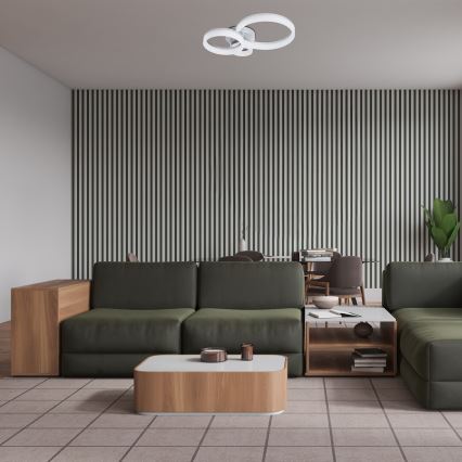 Rabalux - LED Plafondlamp LED/24W/230V 3000/4000/6500K 38x51 cm mat chroom