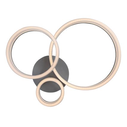 Rabalux - LED Plafondlamp LED/24W/230V 3000/4000/6500K 38x51 cm mat chroom