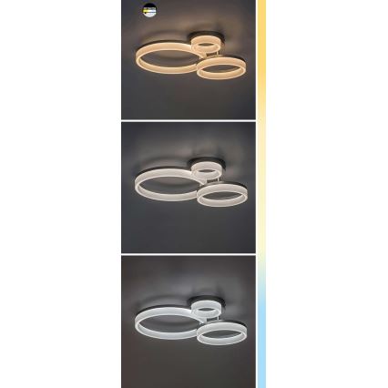 Rabalux - LED Plafondlamp LED/24W/230V 3000/4000/6500K 38x51 cm mat chroom