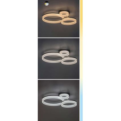 Rabalux - LED Plafondlamp LED/24W/230V 3000/4000/6500K zwart