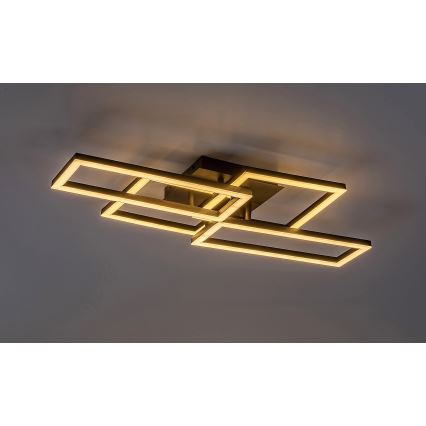 Rabalux - LED Dimbare plafondlamp LED/40W/230V 3000-6500K 35x70 cm + afstandsbediening