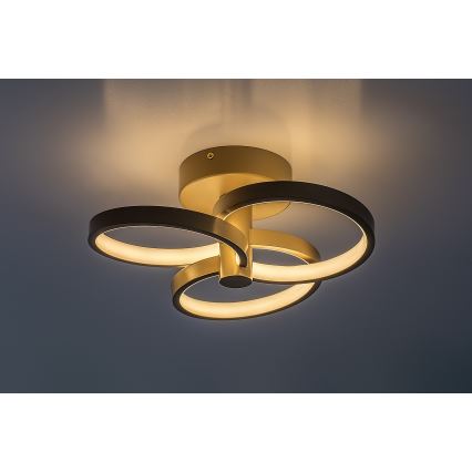 Rabalux - Dimbare LED-plafondlamp LED/32W/230V 3000-6500K Ø 31 cm beige + afstandsbediening