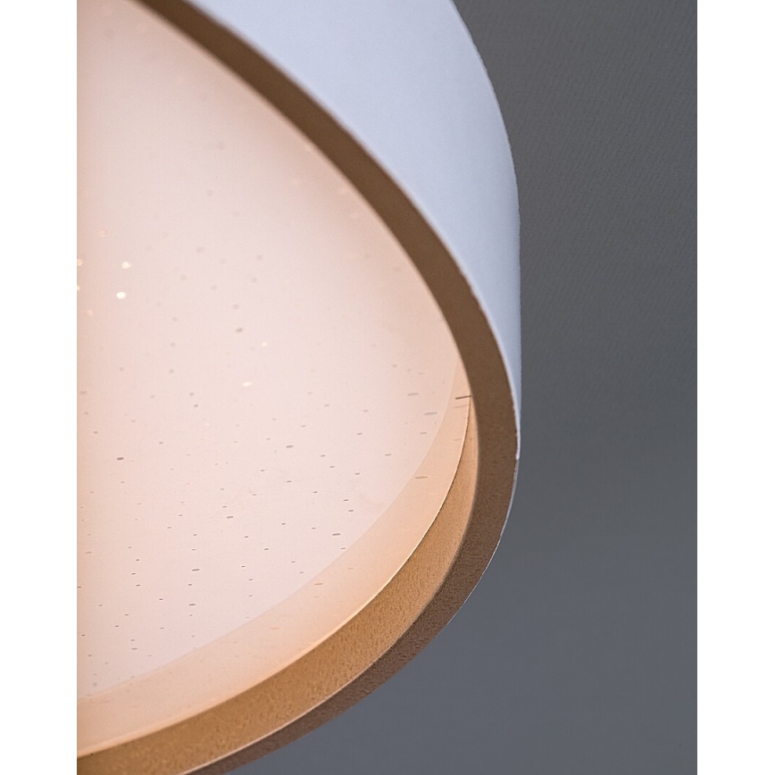 Rabalux - Dimbare LED-plafondlamp LED/80W/230V 3000-6500K pr. 77 cm + afstandsbediening