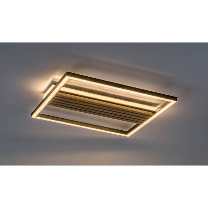 Rabalux - LED plafondlamp LED/30W/230V 3000/4500/6000K