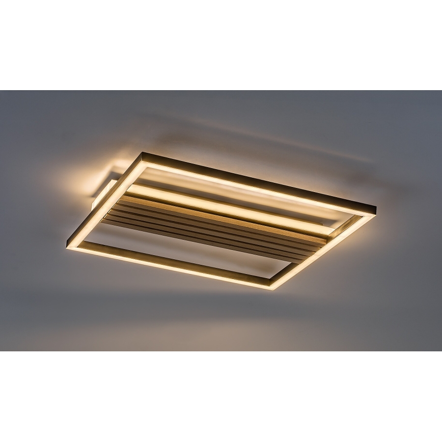 Rabalux - LED plafondlamp LED/30W/230V 3000/4500/6000K