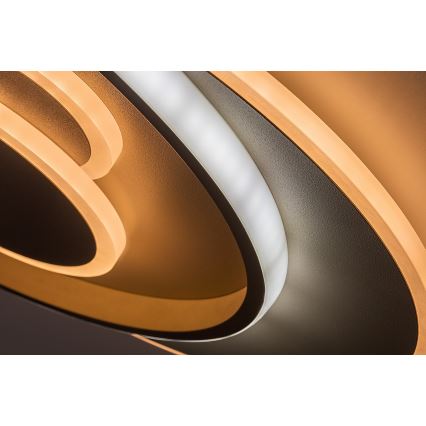 Rabalux - Dimbare LED-plafondlamp LED/57W/230V 3000-6000K 48,5x40 cm + afstandsbediening